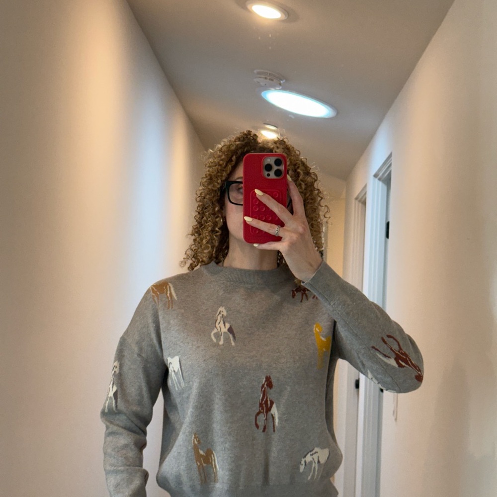 Gray Horse 🐎 Print Sweater